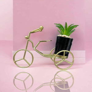 Iron Plant Container, Creative Bike