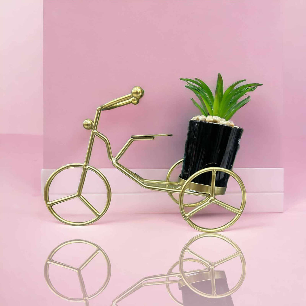 Iron Plant Container, Creative Bike